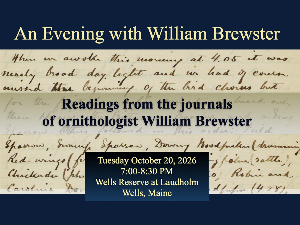 An Evening with William Brewster poster