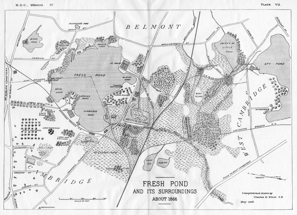1866-brewster-fresh-pond-surroundings041-1024x742.jpeg