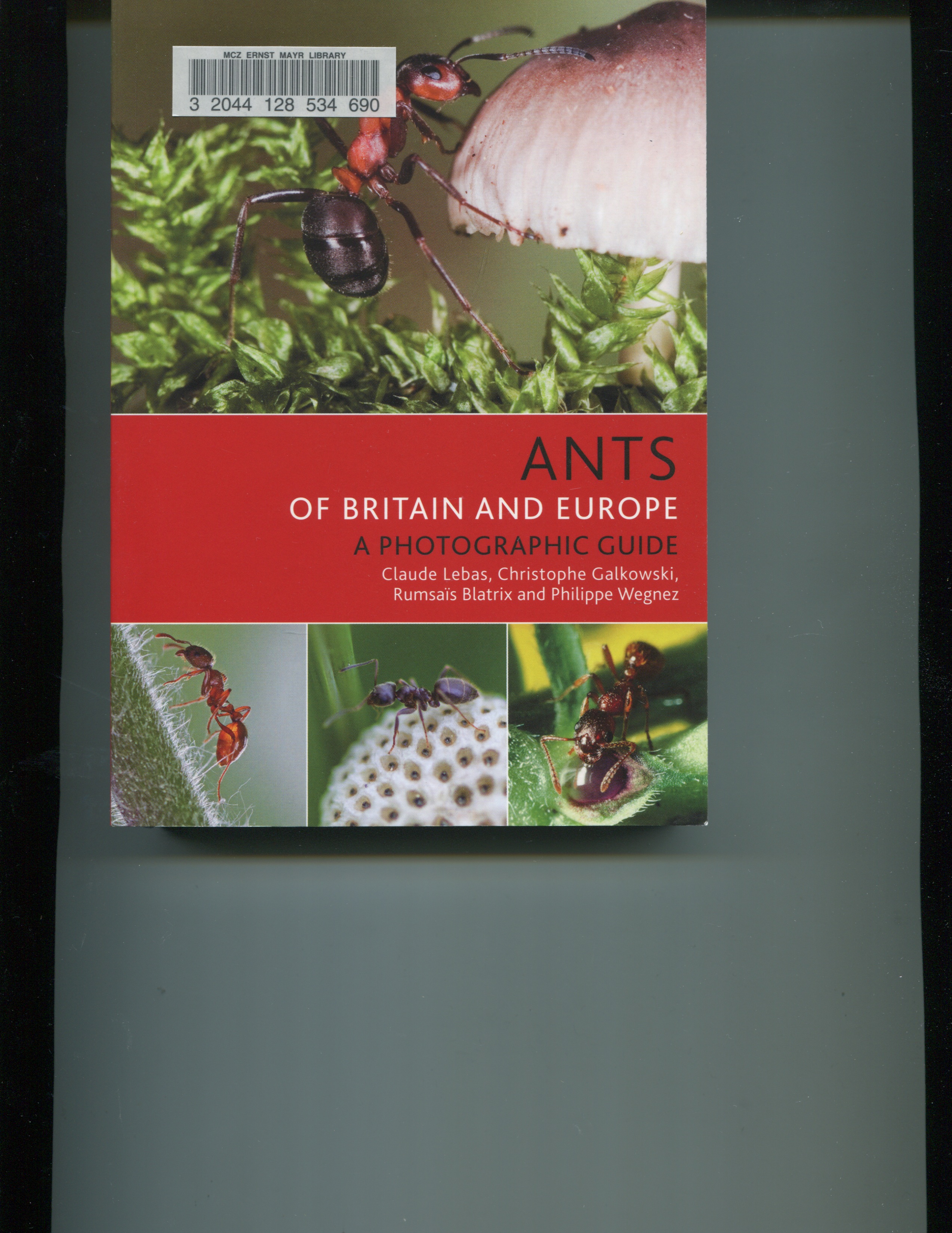 Ants of Britain and Europe