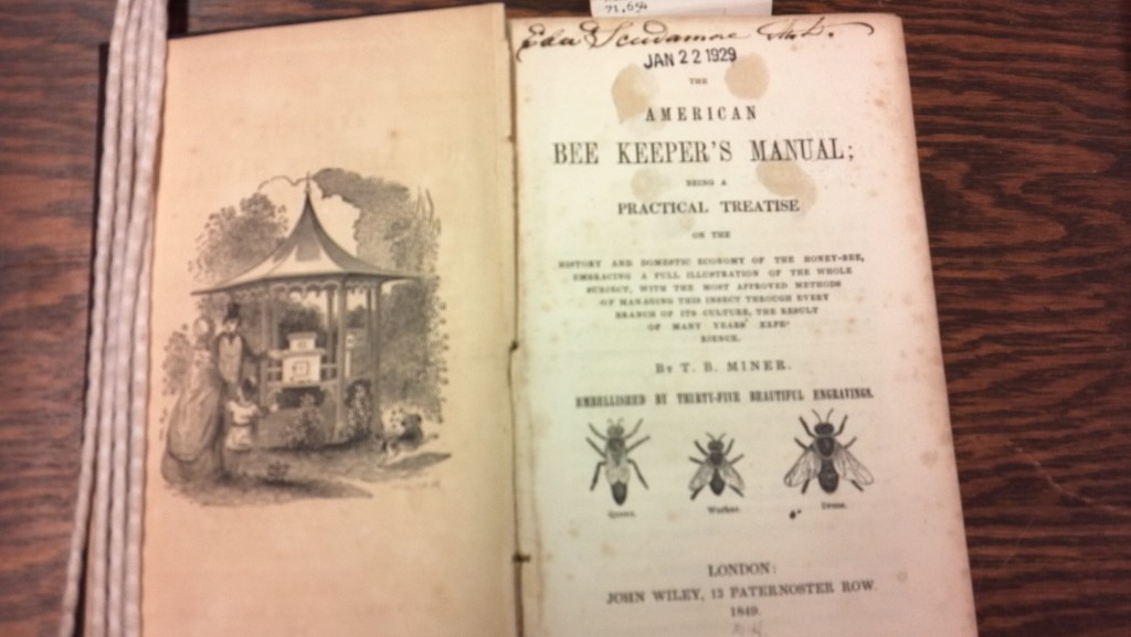 bees2-1024x577.jpg