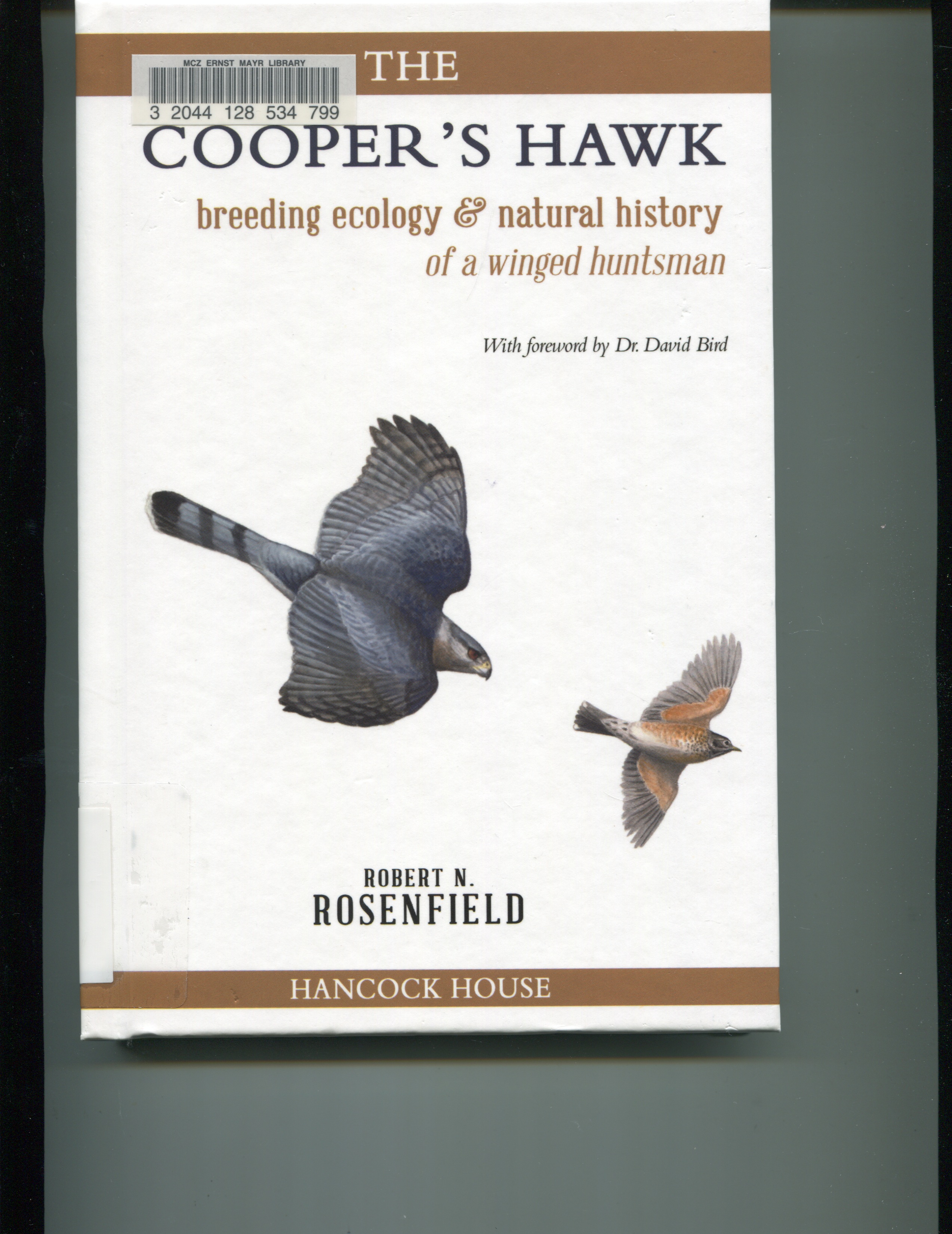The Cooper's hawk: breeding ecology & natural history of a winged huntsman