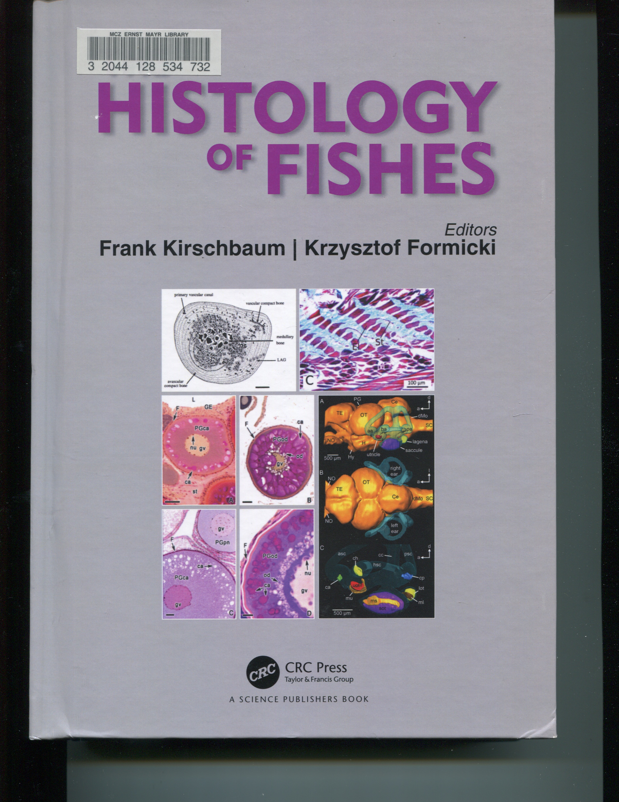 The histology of fishes
