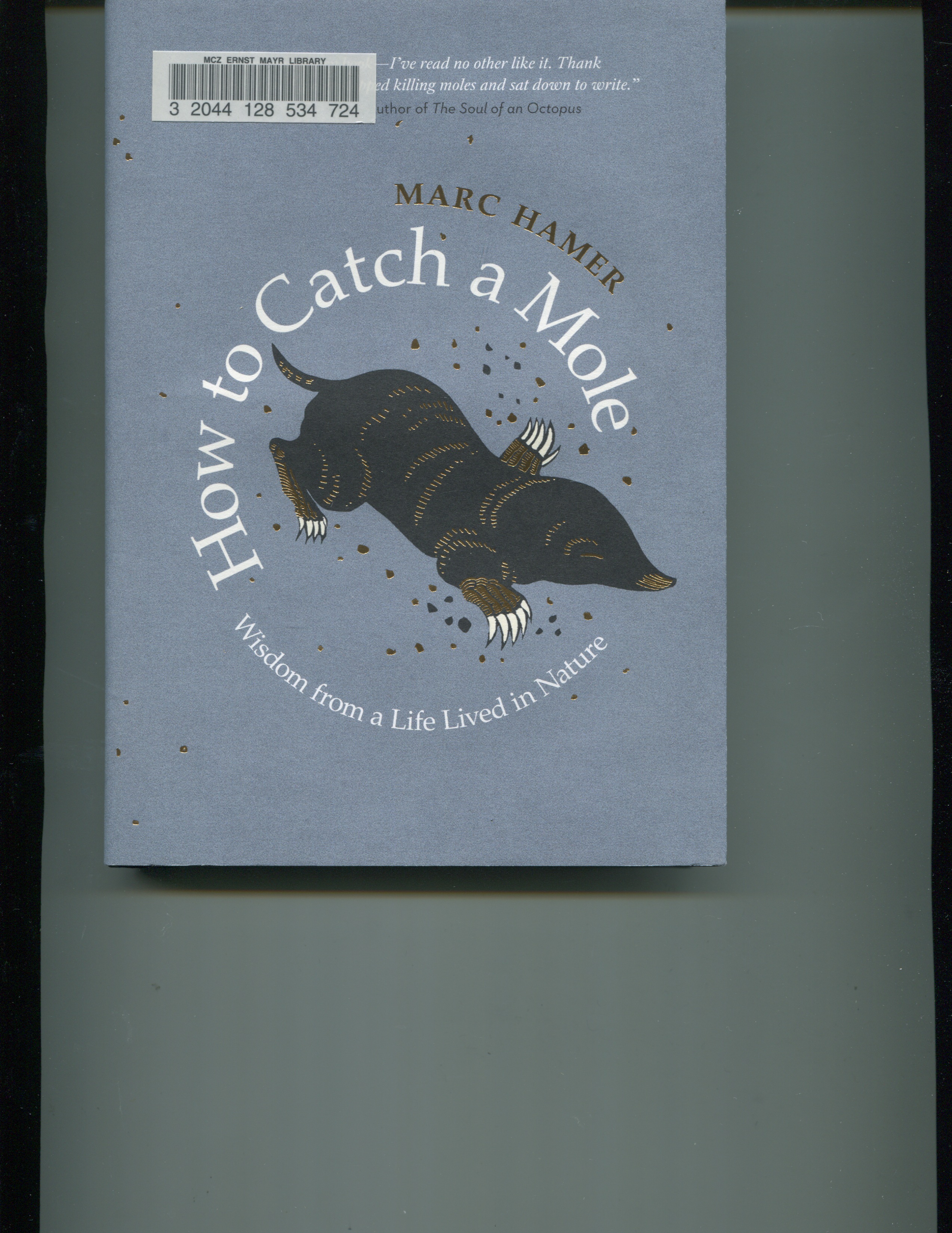 How to catch a mole: wisdom from a life lived in nature