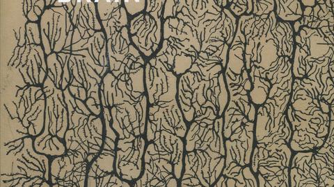 The beautiful brain: the drawings of Santiago Ramón y Cajal