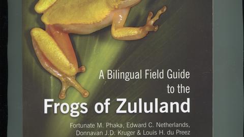 A bilingual field guide to the Frogs of Zululand