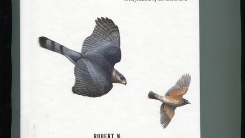 The Cooper's hawk: breeding ecology & natural history of a winged huntsman