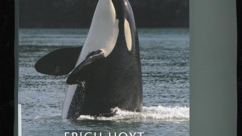 Orca: the whale called killer