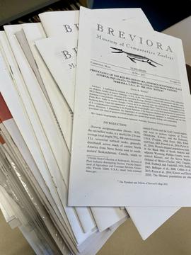 loose stack of MCZ publications