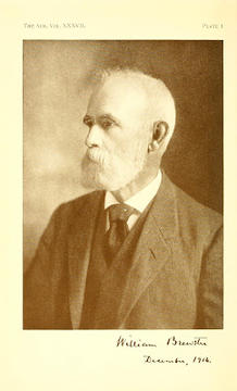 brewsterportrait.jpg