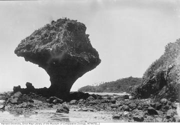 fiji1-1024x711.jpeg