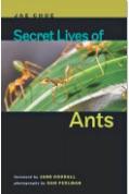 Book by Dr. Choe