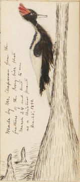 journalswilliam00brewa_blog_image.jpg