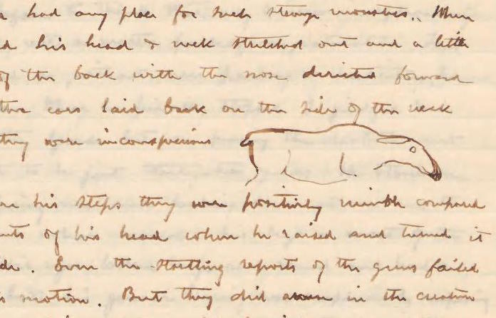 Close up of an outlined sketch of a female moose, surrounded by handwritten text.