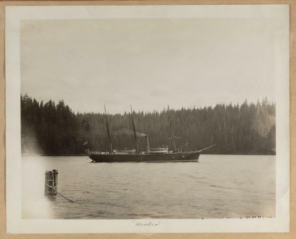 The Hassler steamer