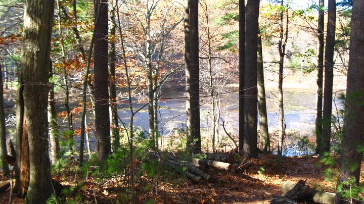 View of the river from base of Holden Hill.
