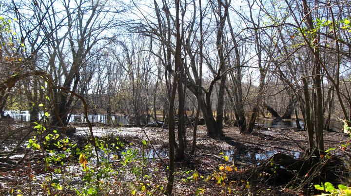 Floodplain below Holden Hill and Dakins Hill.