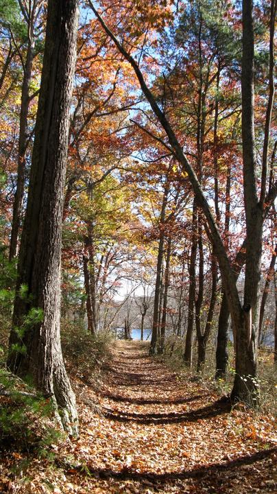 Riverside trail below Ball’s Hill.