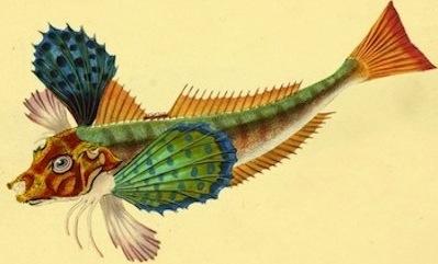 naturalhistoryof00don_0007.jpg