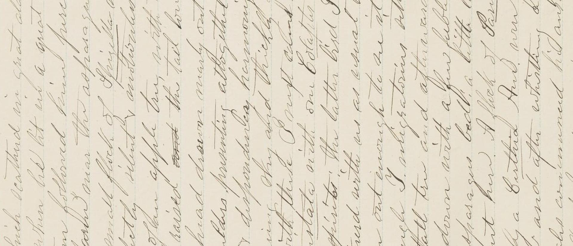 partial view of a handwritten journal entry on yellowed paper