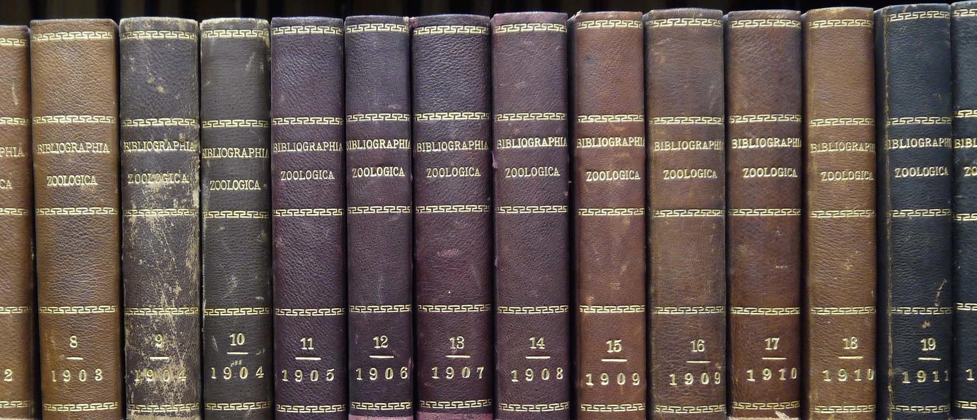 blue and brown ombre array of Bibliographia Zoologica volumes